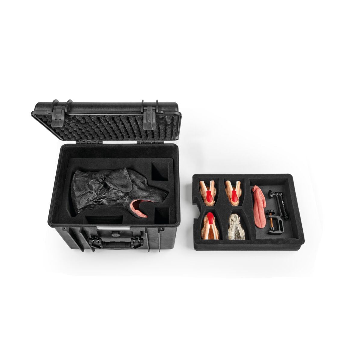 1026125 Canine Dental Surgical Package Black