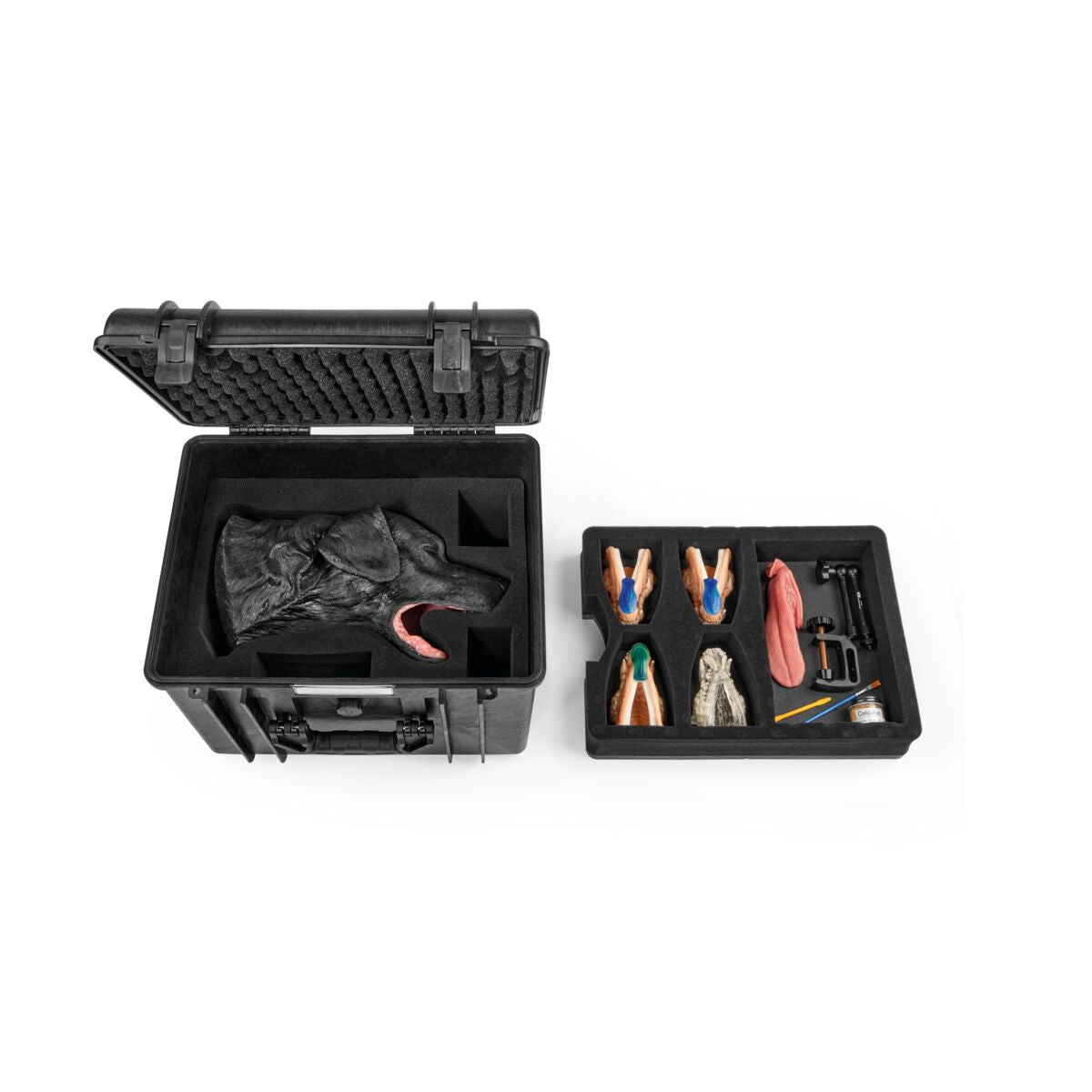 1026127 Canine Dental Technician Package Black