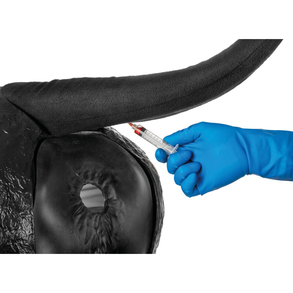 1026384 Hereford-Advanced-Bovine-Theriogenology-Model-Black Image 4