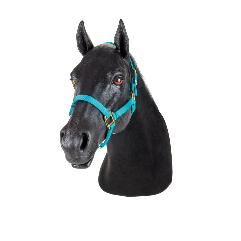 Equine Neck Venepuncture & Intramuscular Injection Trainer