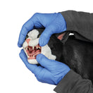 Switch 1026500 Feline Tech Simulator Teeth 3 image