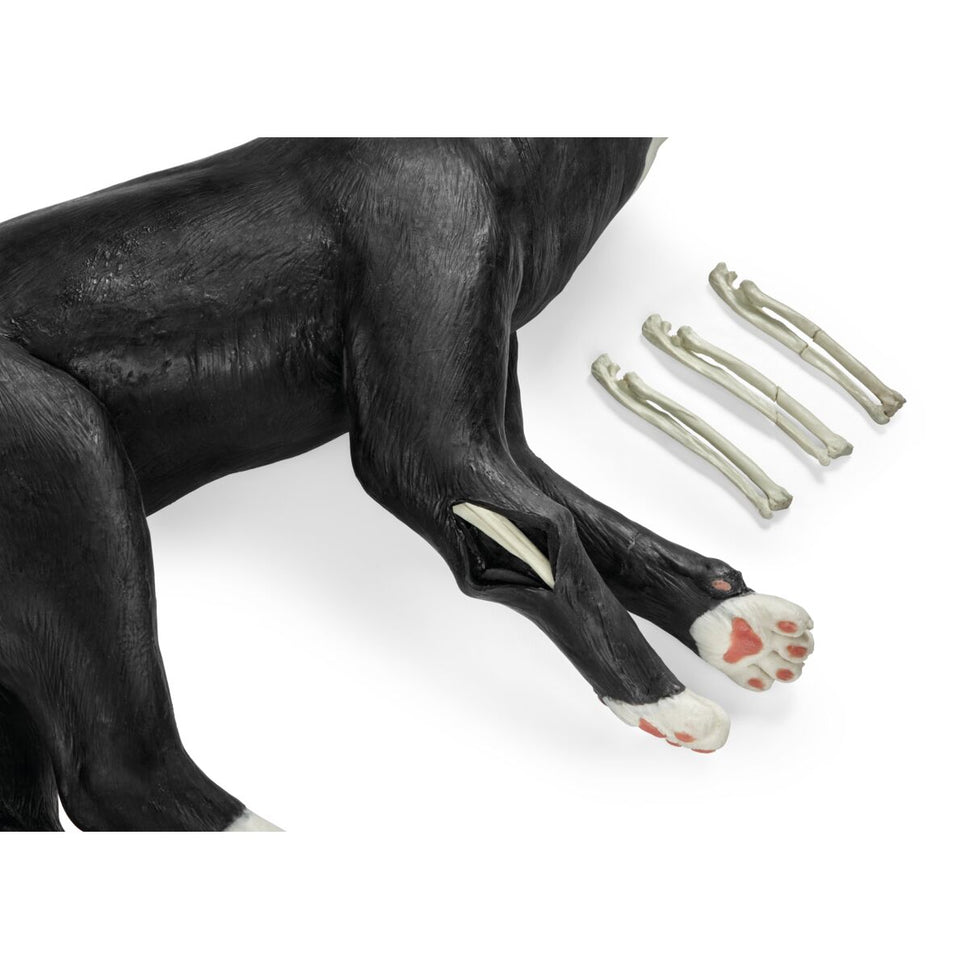 Feline Tech Simulator