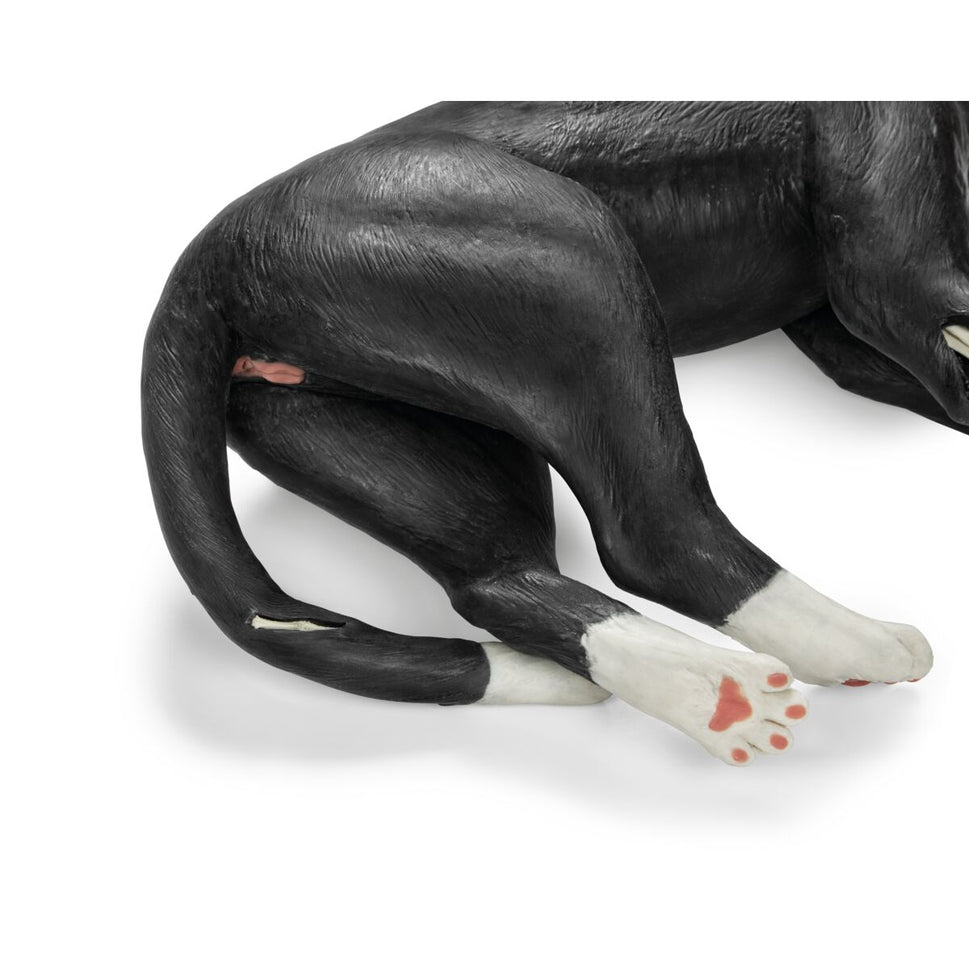 Feline Tech Simulator