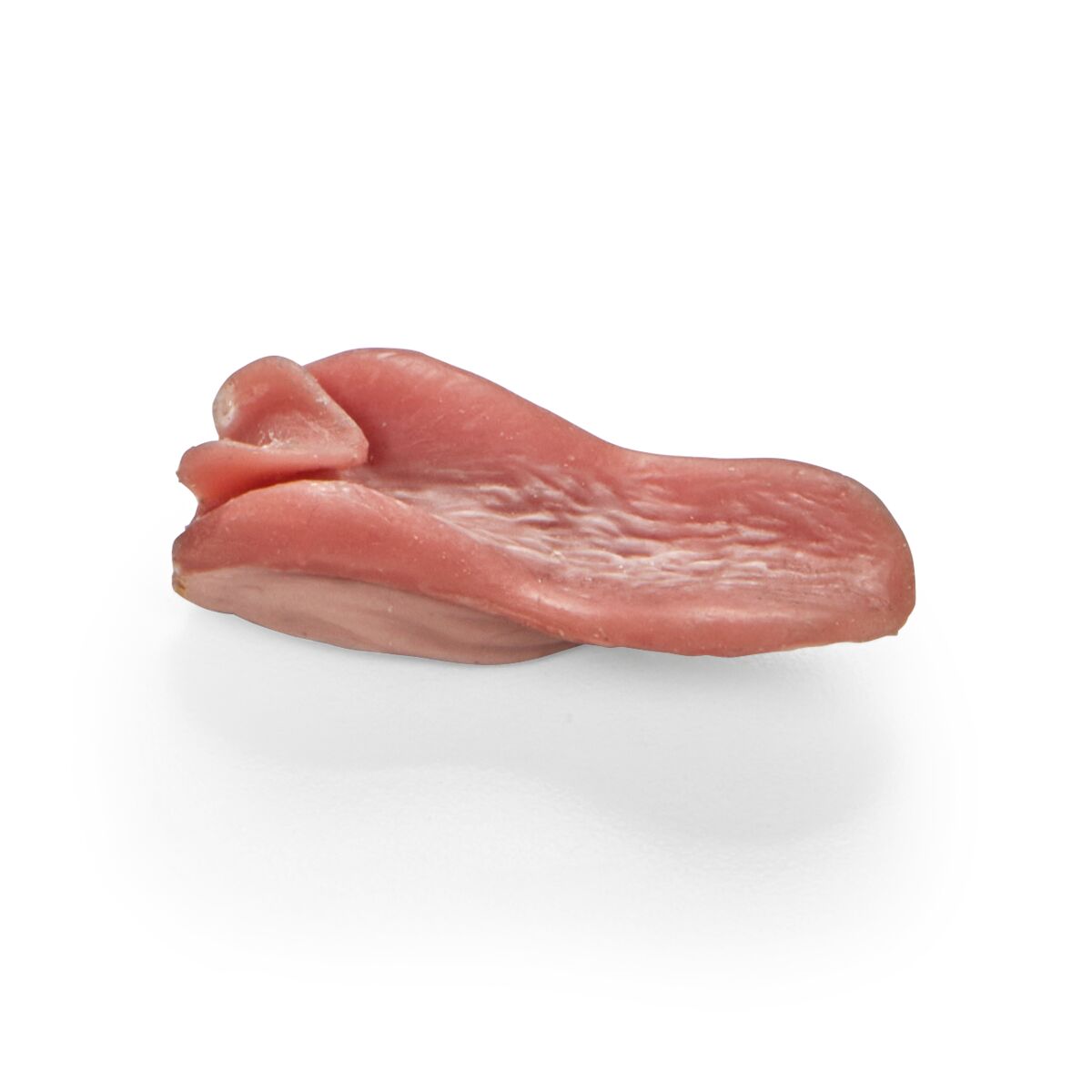 Replacement Feline Tongue for Feline Tech Simulator 1026502