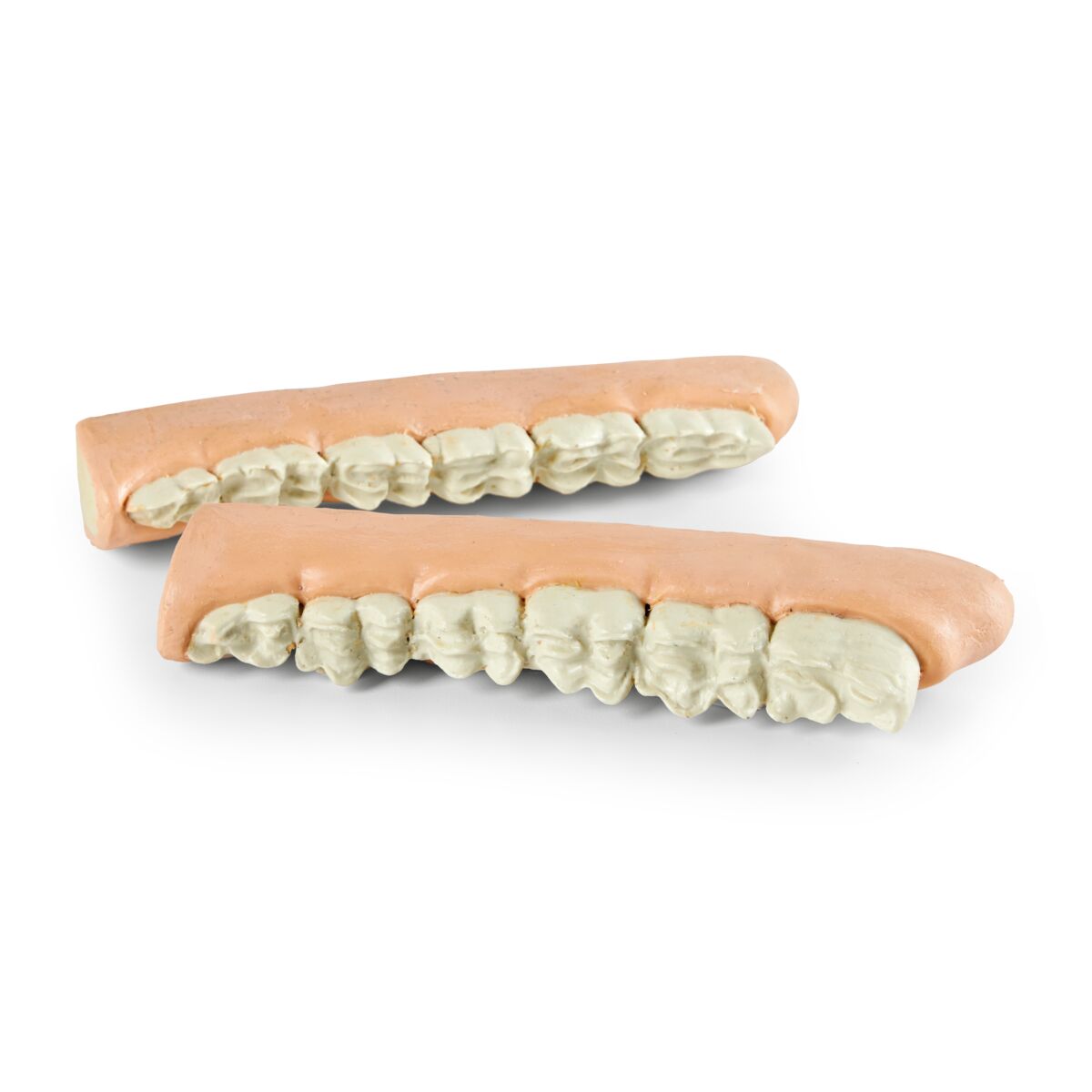 Equine Shear Mouth Jaw Set