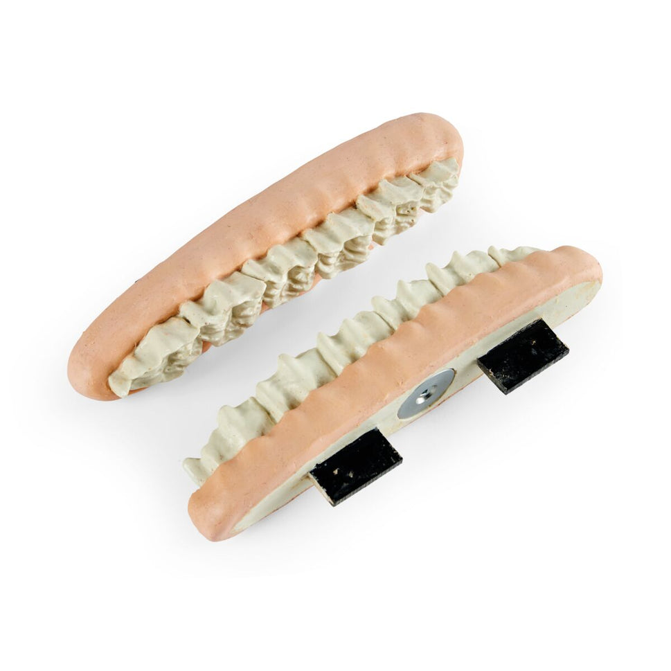 Equine Shear Mouth Jaw Set