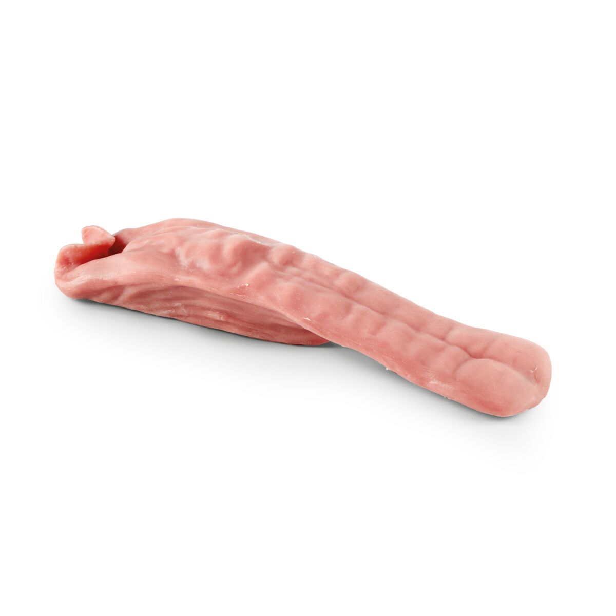 Equine Tongue