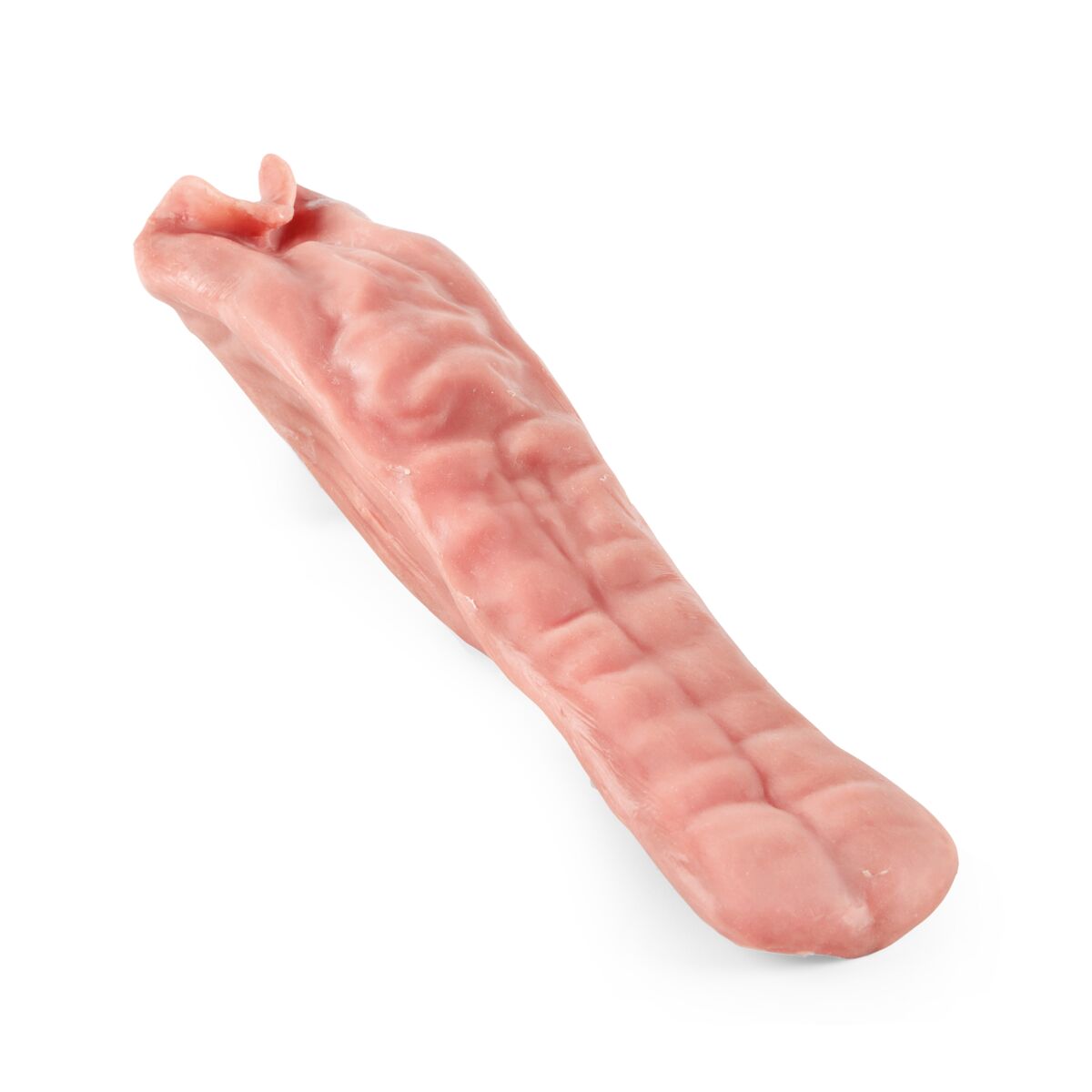 Equine Tongue