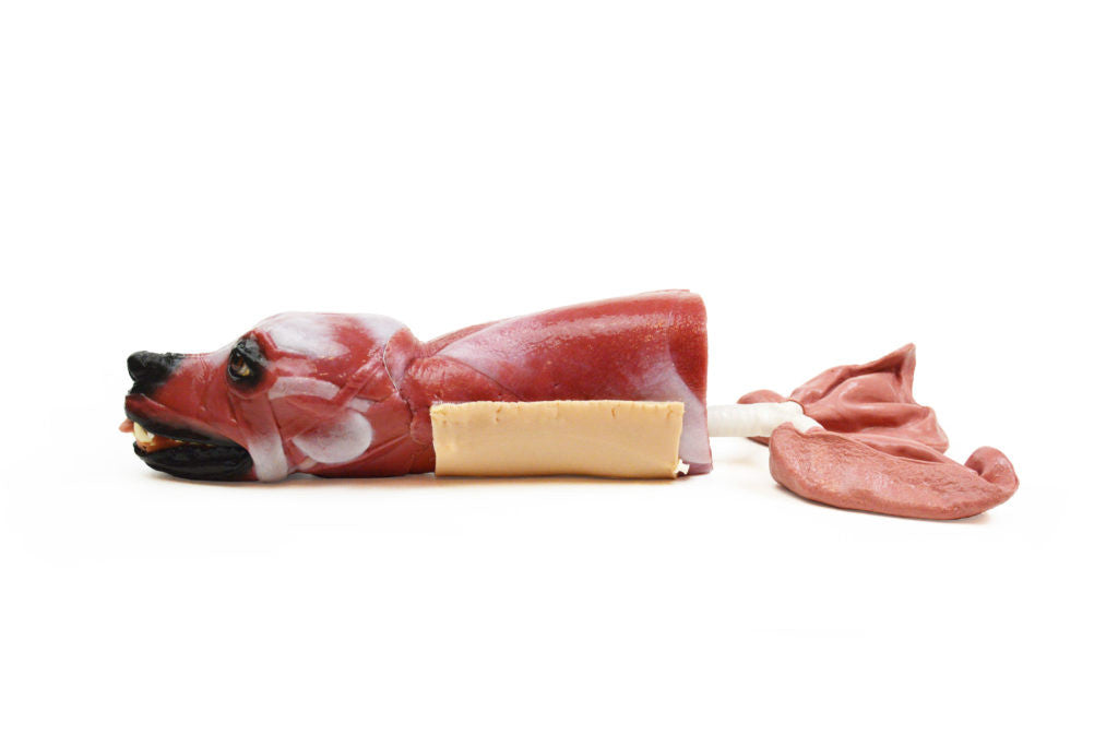 Canine "SynTissue" Airway Trainer