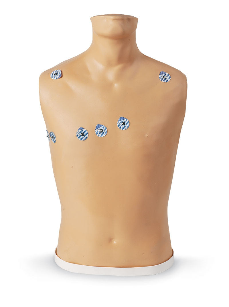 15-Lead ECG Placement Trainer