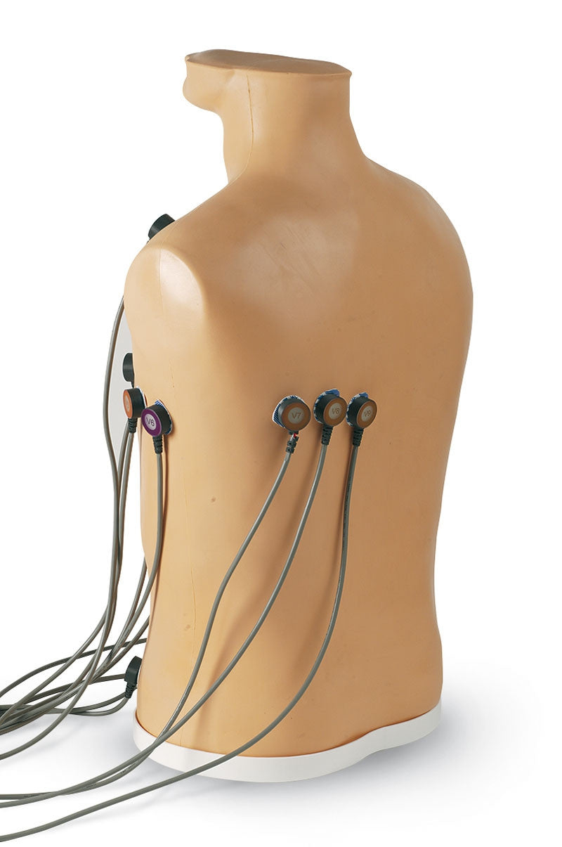 15-Lead ECG Placement Trainer