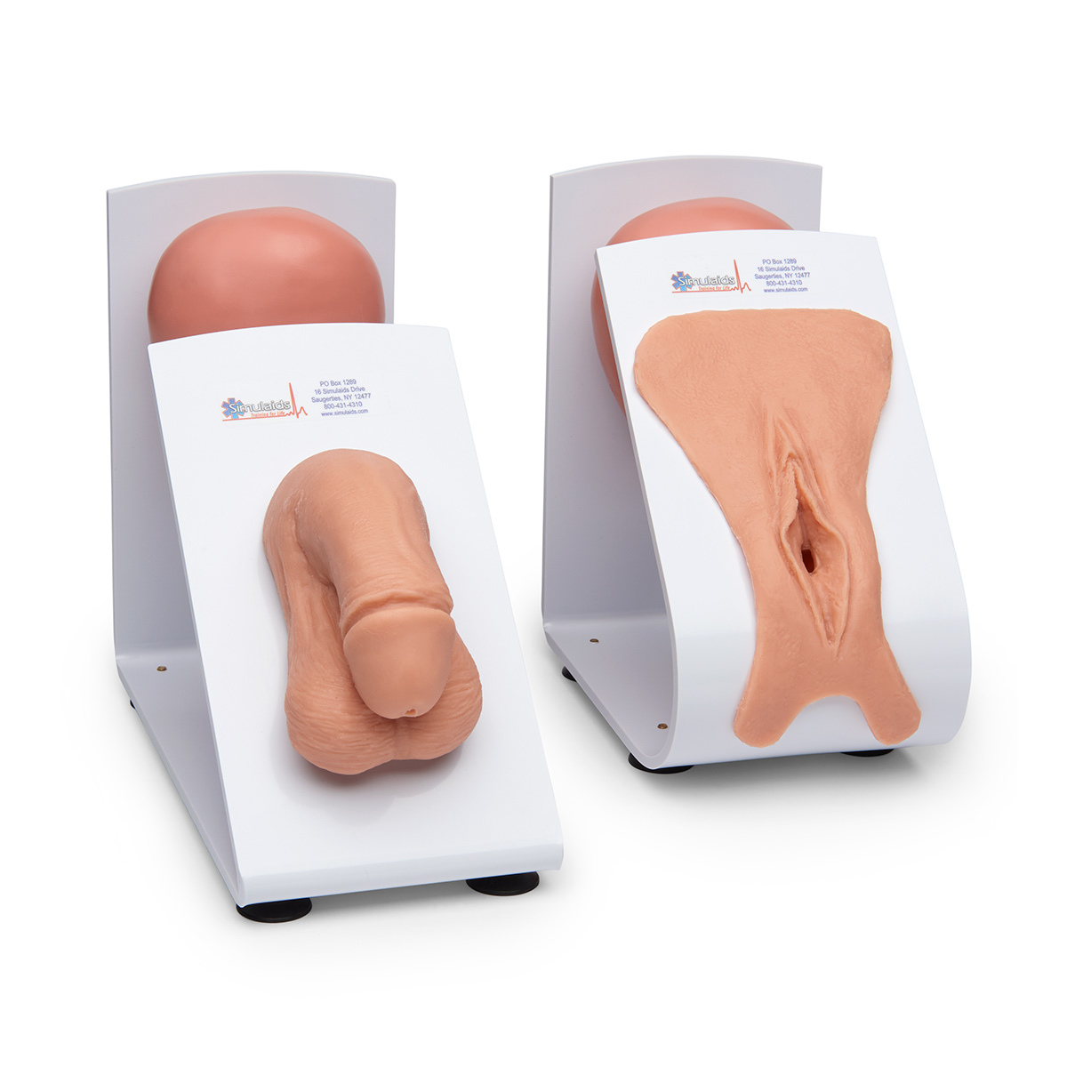 Male and Female Catheterisation Trainers Set