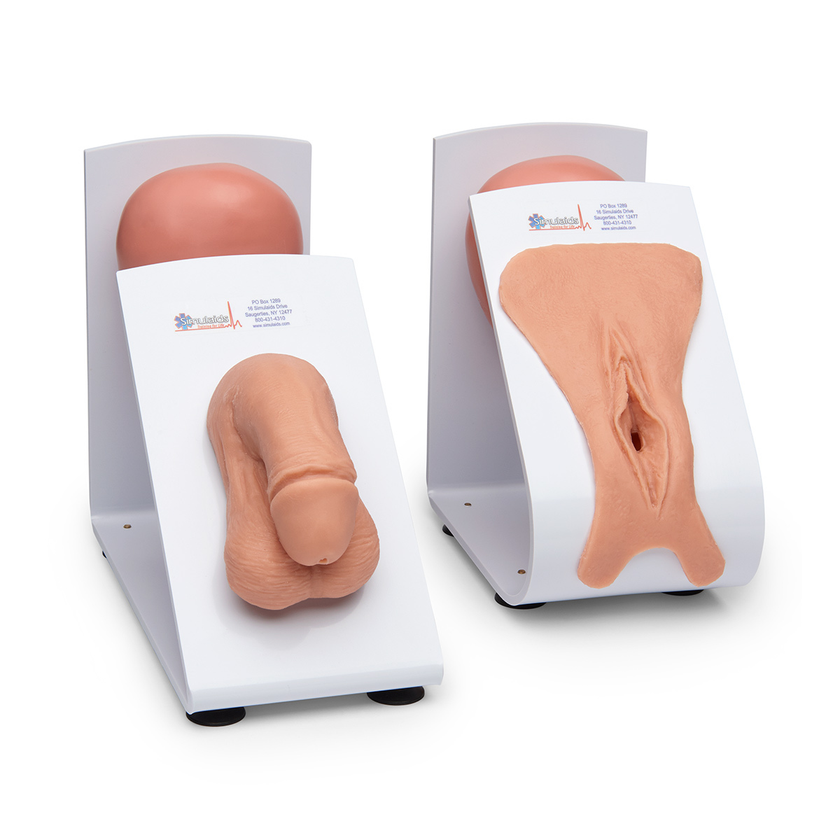 Male and Female Catheterisation Trainers Set