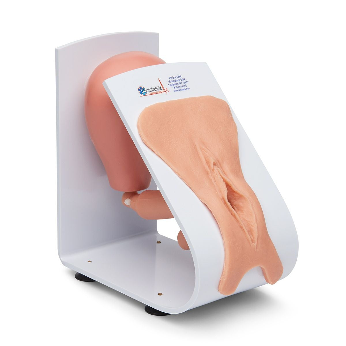 Male and Female Catheterisation Trainers Set