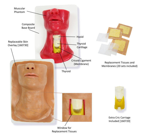 Parts of the Adult Cric Trainer