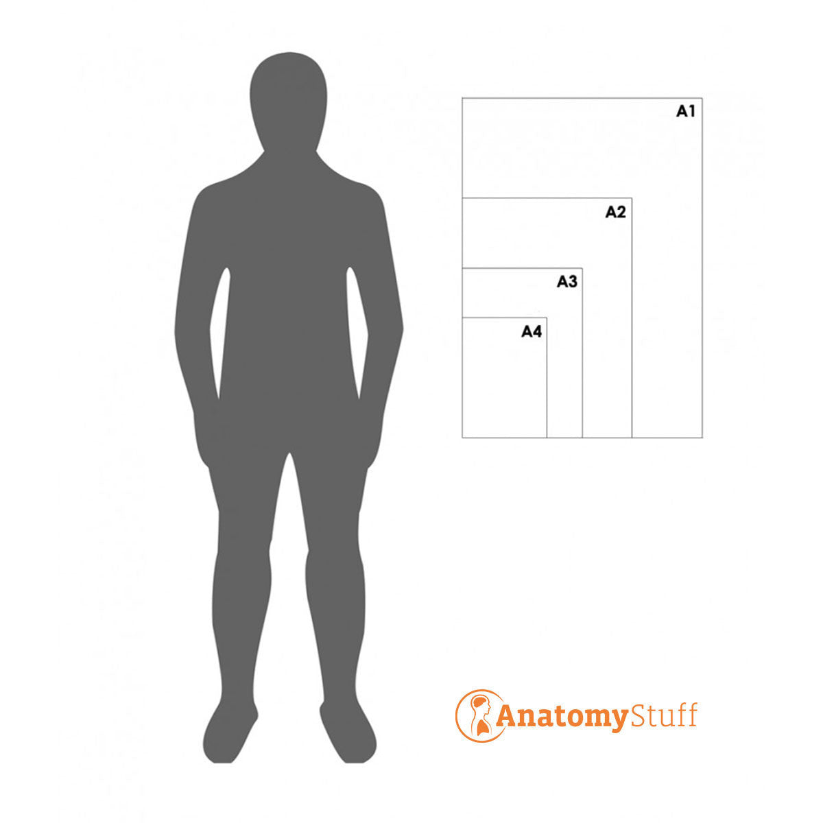Breast Self-Examination Leaflet (Printable PDF) - Part of Collection