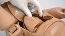 Switch Accessible Chest Cavity to Observe Heart and Lungs 3 image
