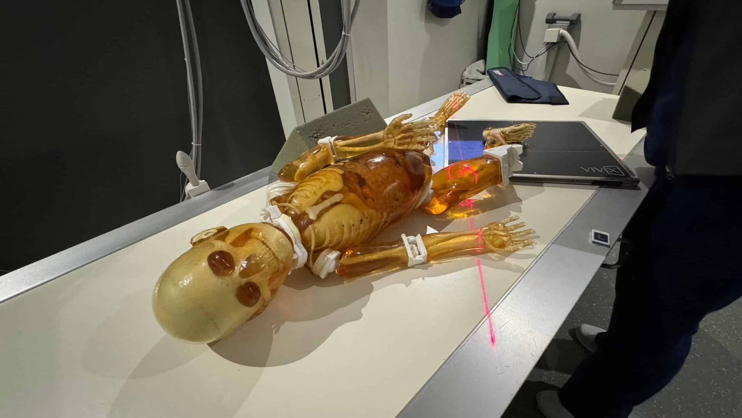 Paediatric Full Body for X-Ray CT, MRI FB-P01 image 3