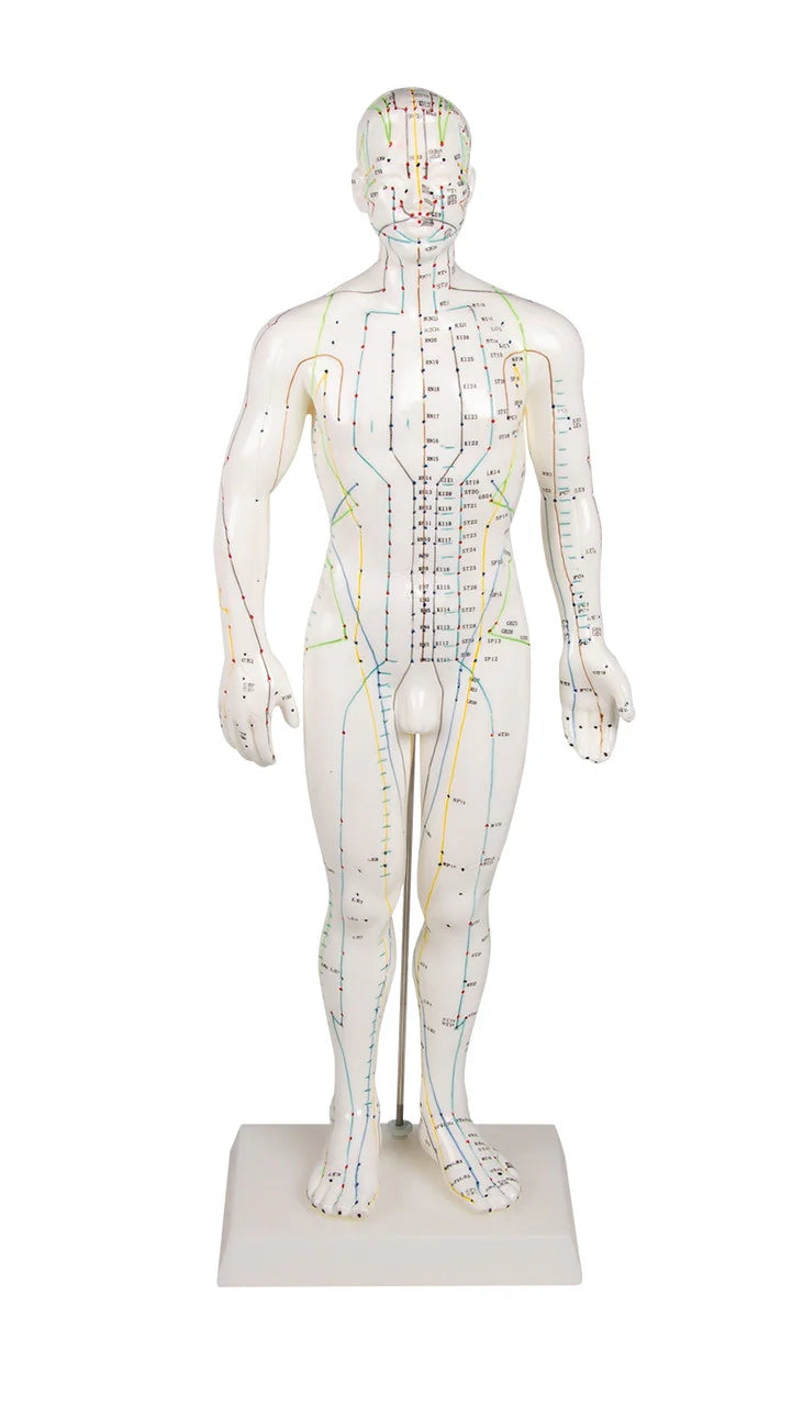 Acupuncture Collection