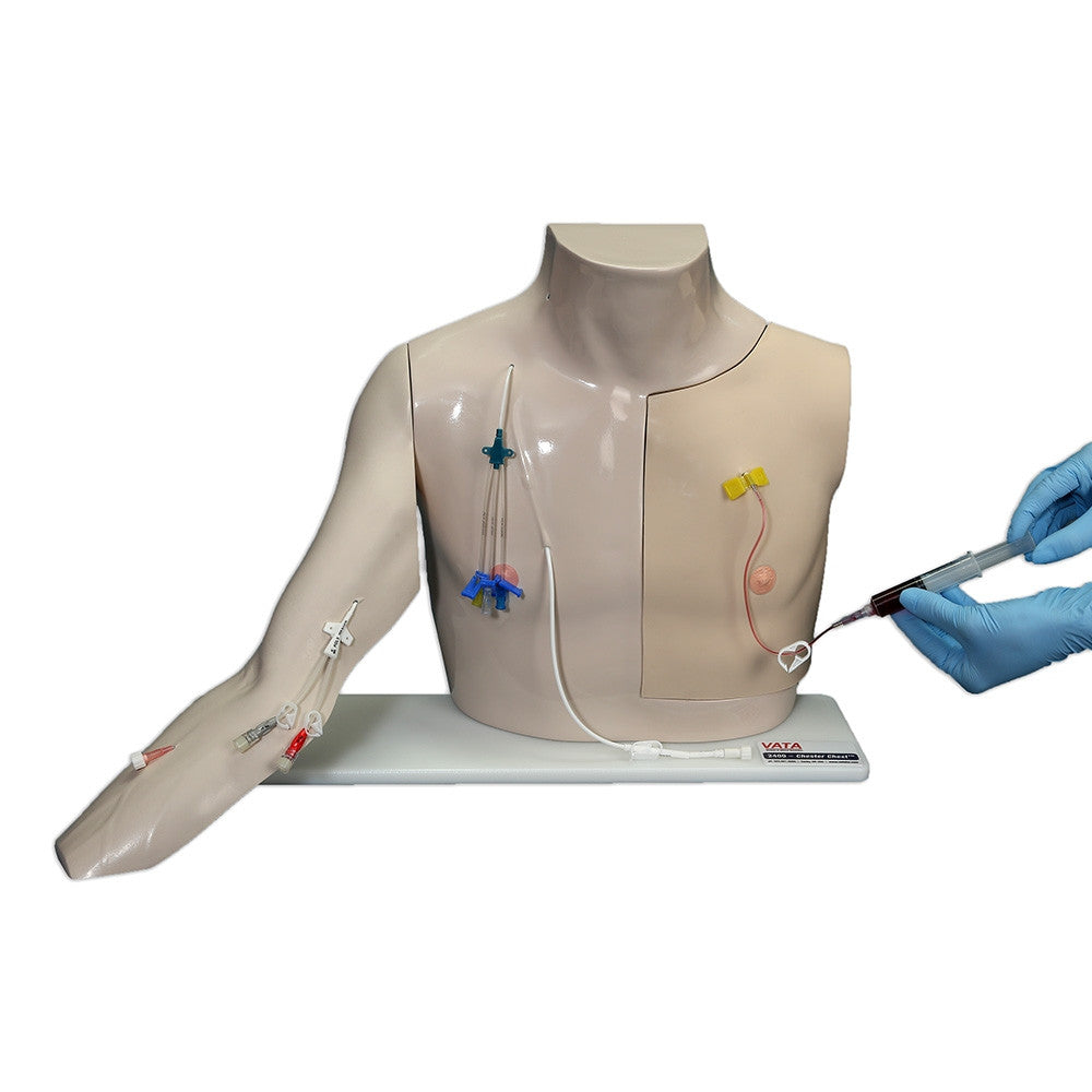 Chester Standard Arm Trainer for PICC training