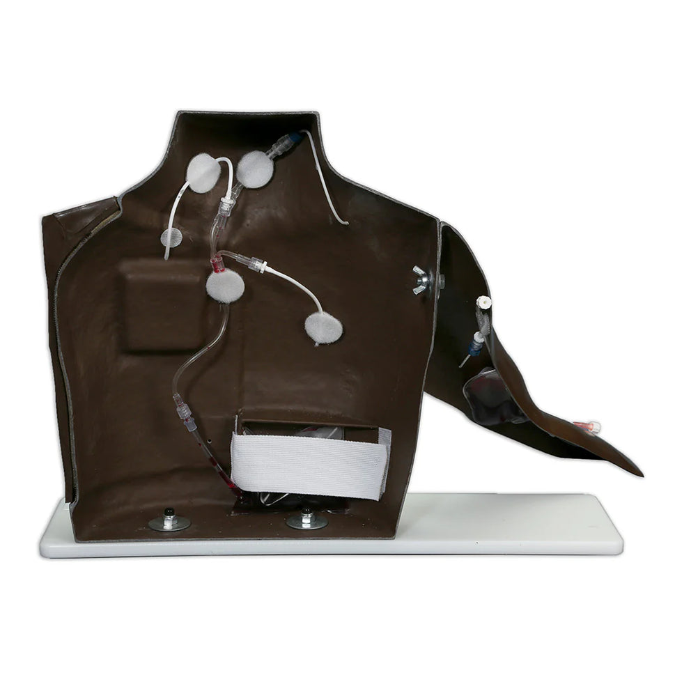 Chester Chest with Standard Arm