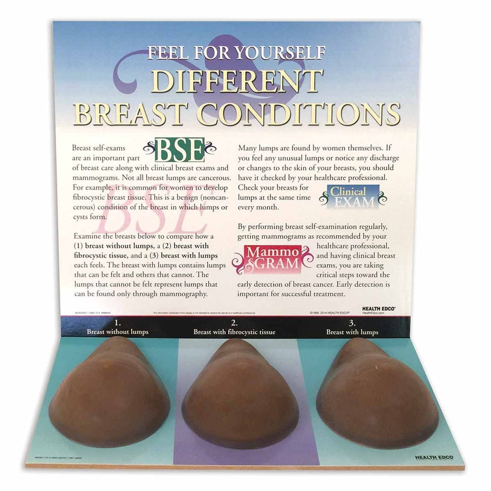 Multi-type BSE Training Model (Normal / Fibrocystic) - Brown