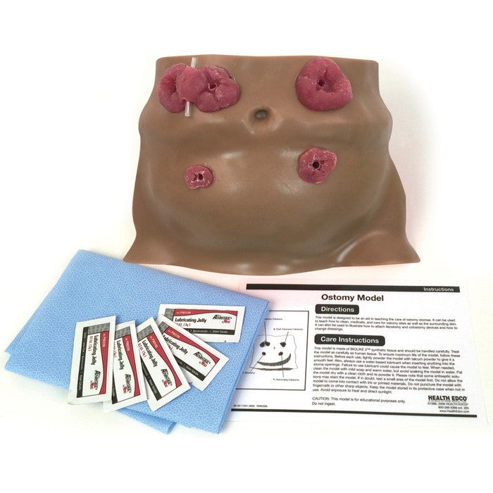 Ostomy Care Training Model Brown