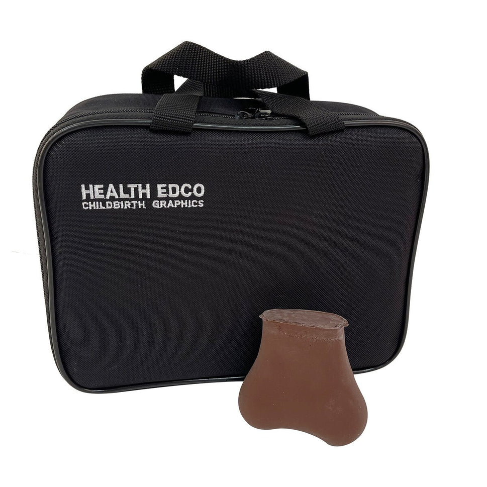 Testicular Self-Examination Model (2 lumps in 1 testicle)