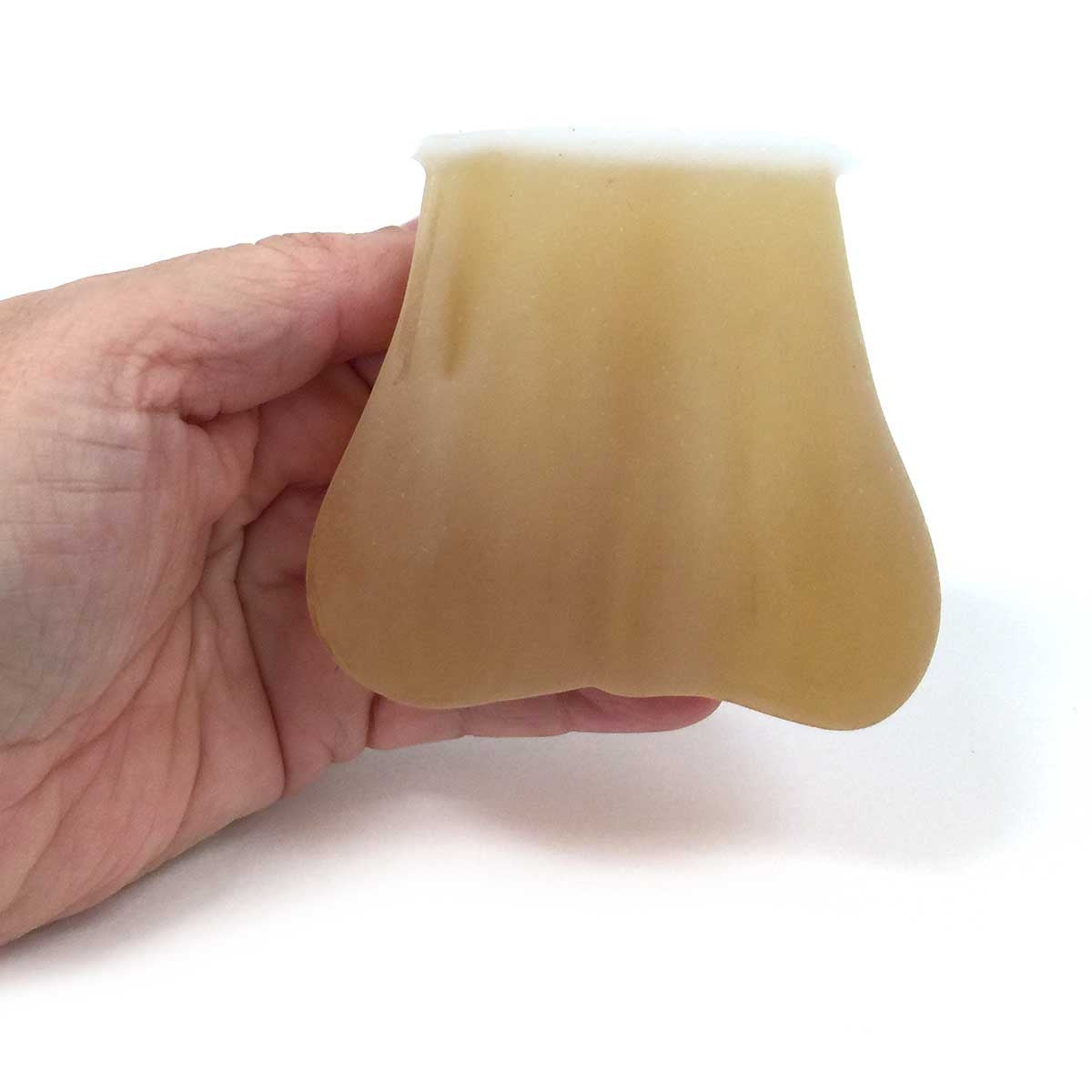 Translucent TSE Model (2 lumps in each testicle)