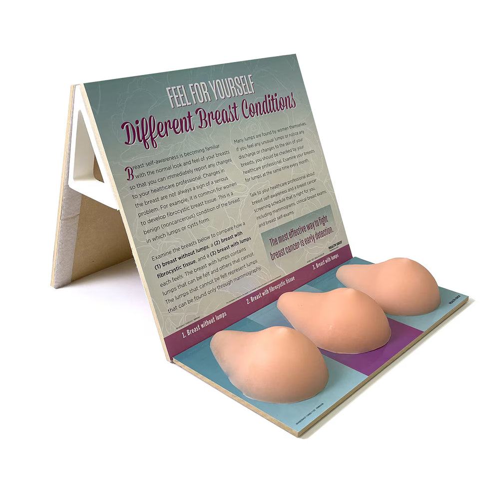 Multi-type BSE Training Model (Normal / Fibrocystic)