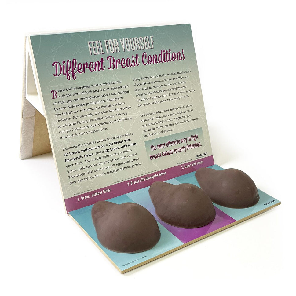 Multi-type BSE Training Model (Normal / Fibrocystic)