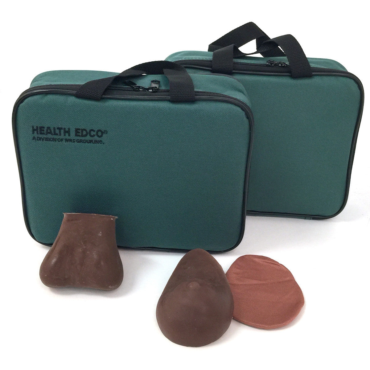 Teen BSE/TSE Model Kit (Brown)