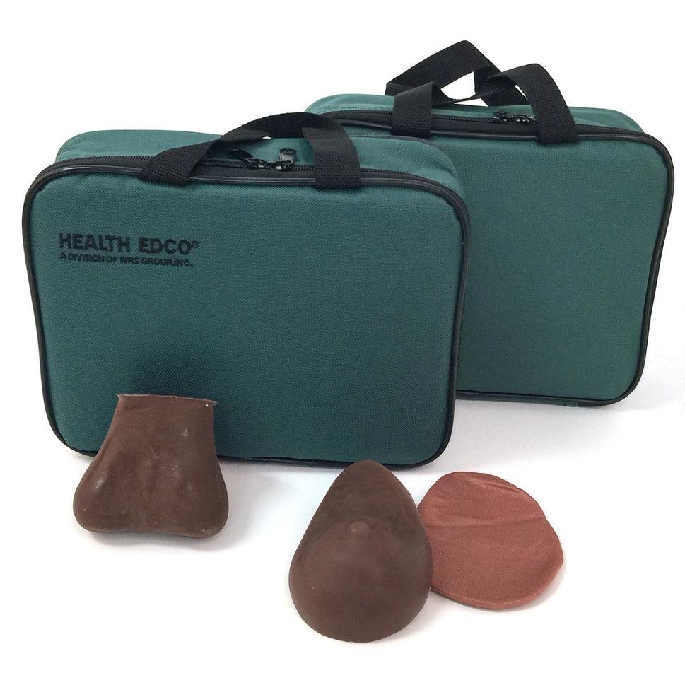 Teen BSE/TSE Model Kit (Brown)