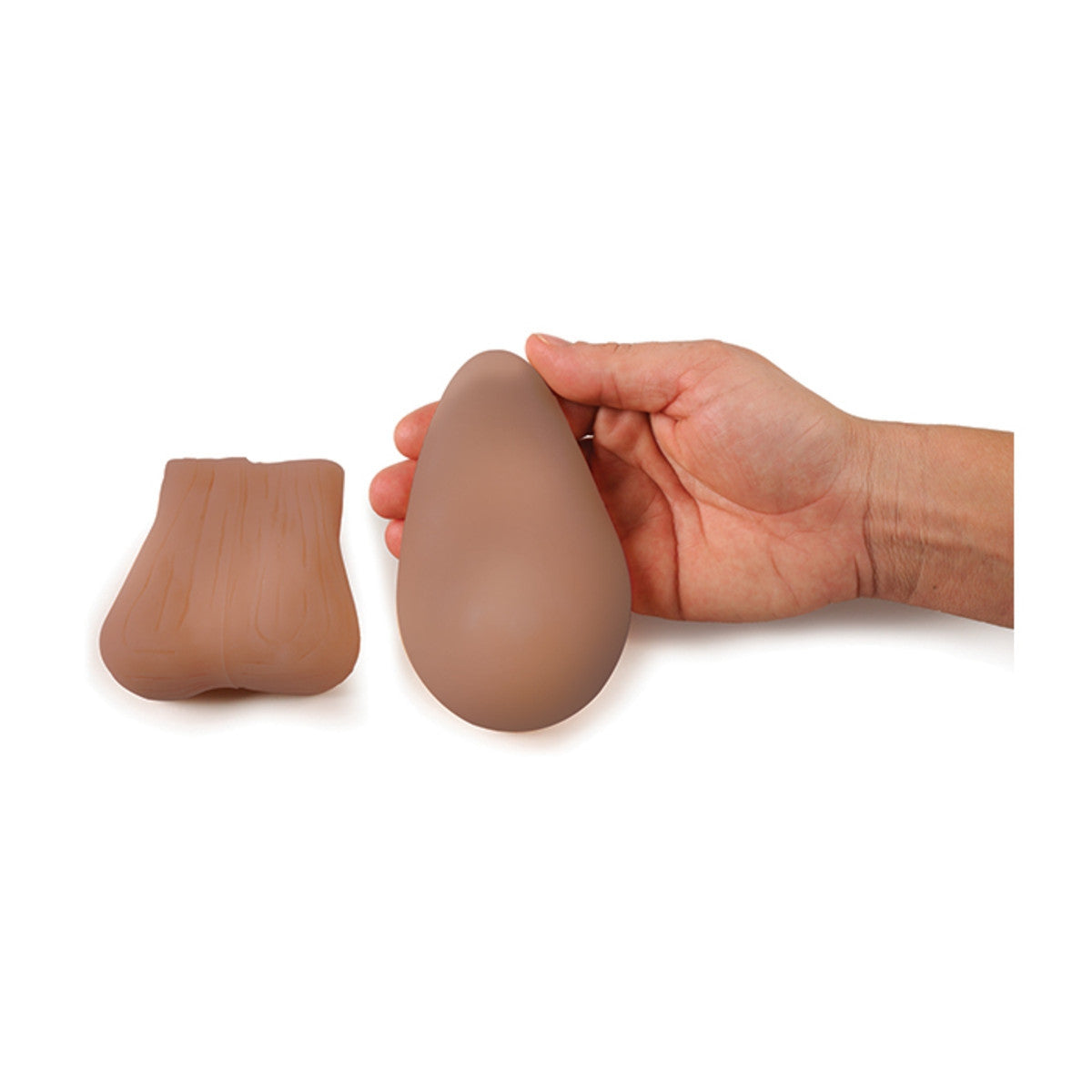 Teen BSE/TSE Model Kit (Brown)