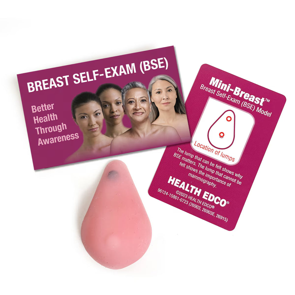 Mini Breast Model (Pack of 10)
