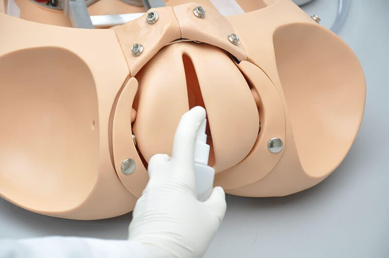 NOELLE Skills Trainer Package with OMNI Birthing Torso