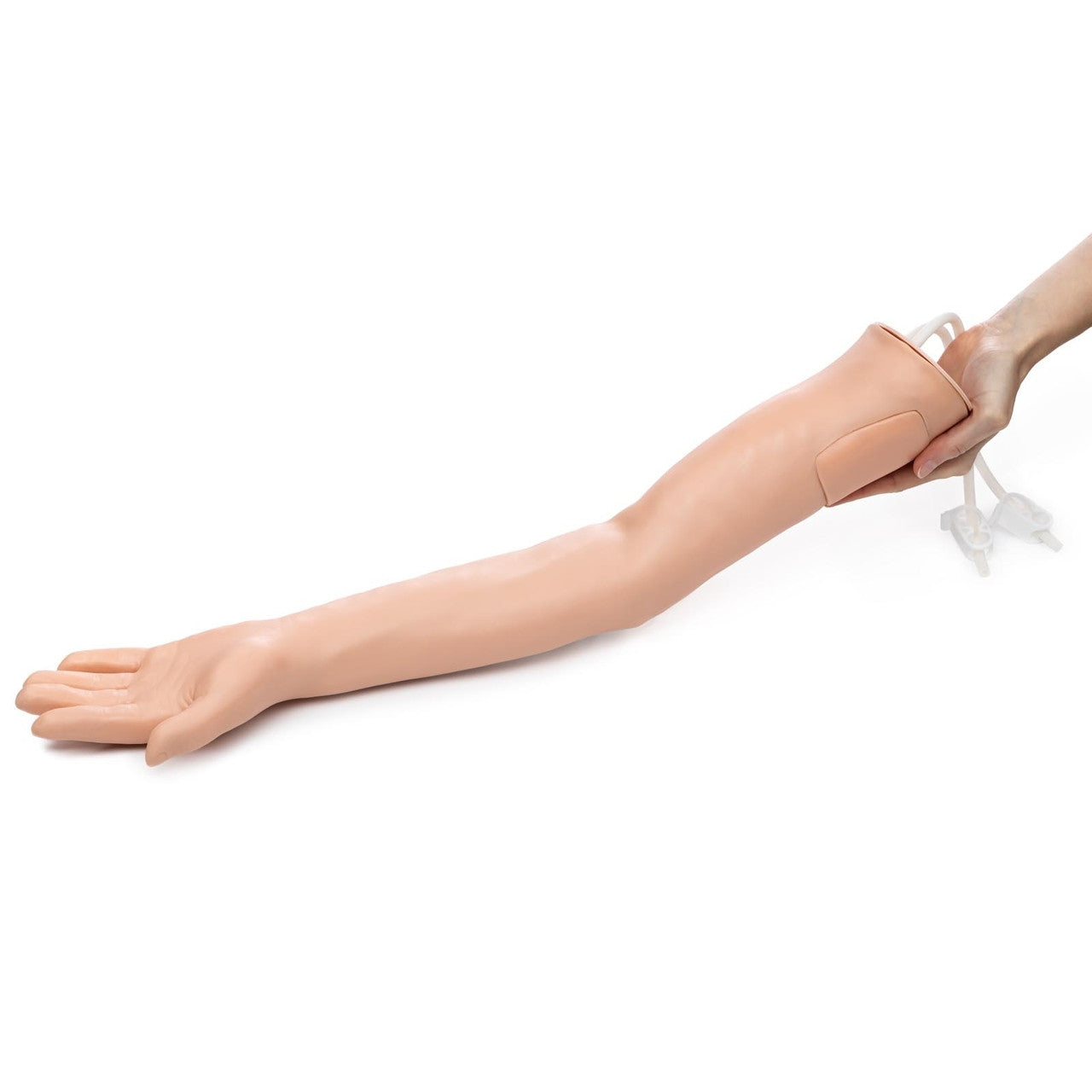 Budget Venepuncture, Injection and Transfusion Training Arm