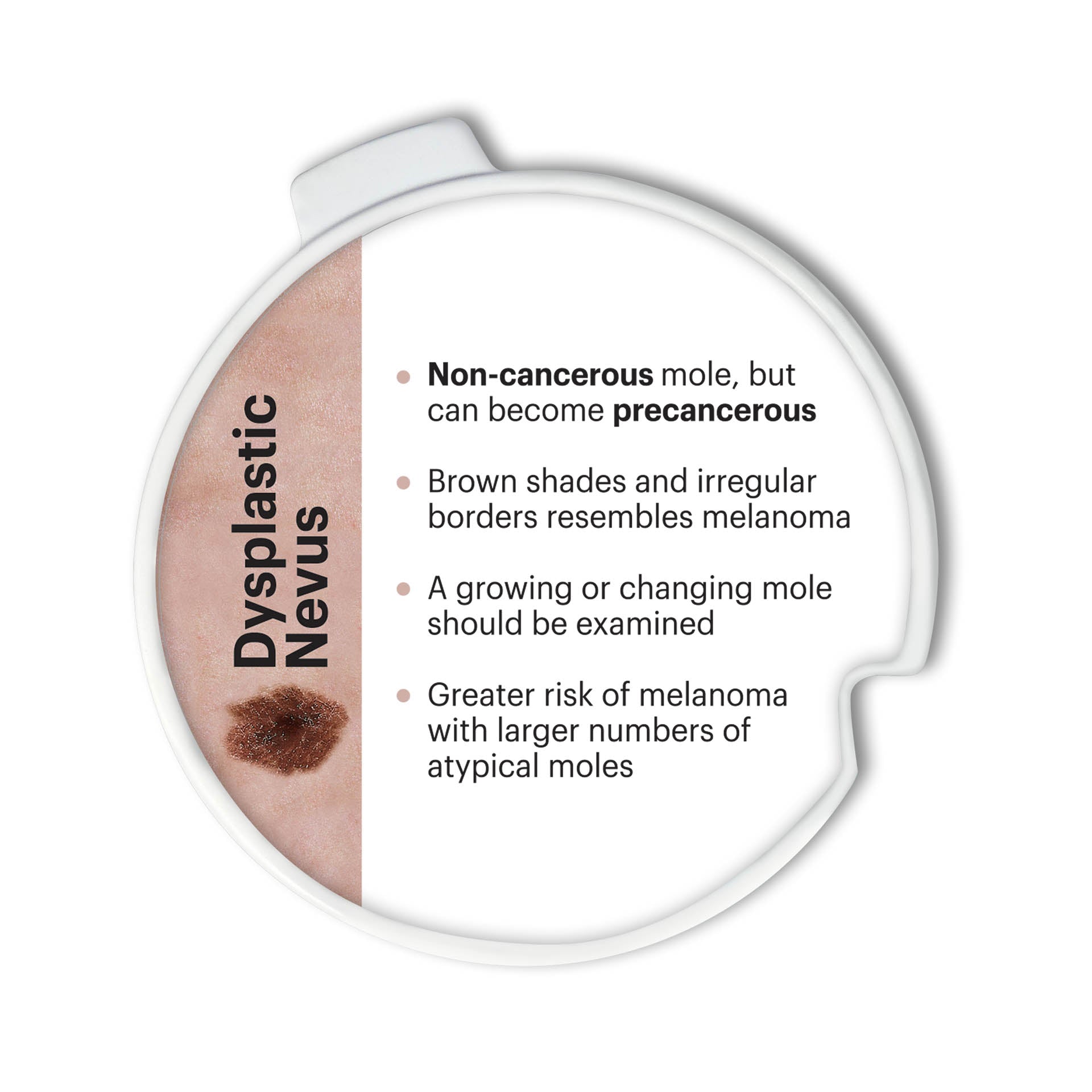 Precancerous and Cancerous Skin Lesions Disk Set