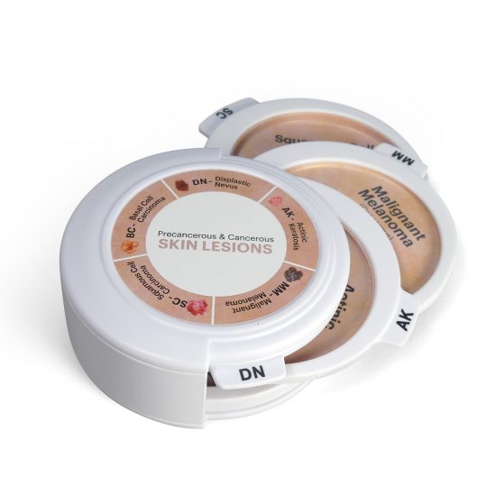 Precancerous and Cancerous Skin Lesions Disk Set