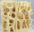 Switch Healthy side of the bone structure model 3 image