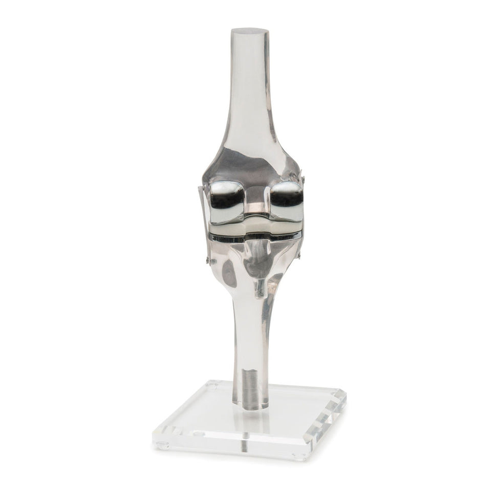 Knee Replacement Model
