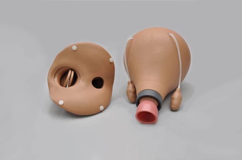 48-Hour Post Partum Uterus