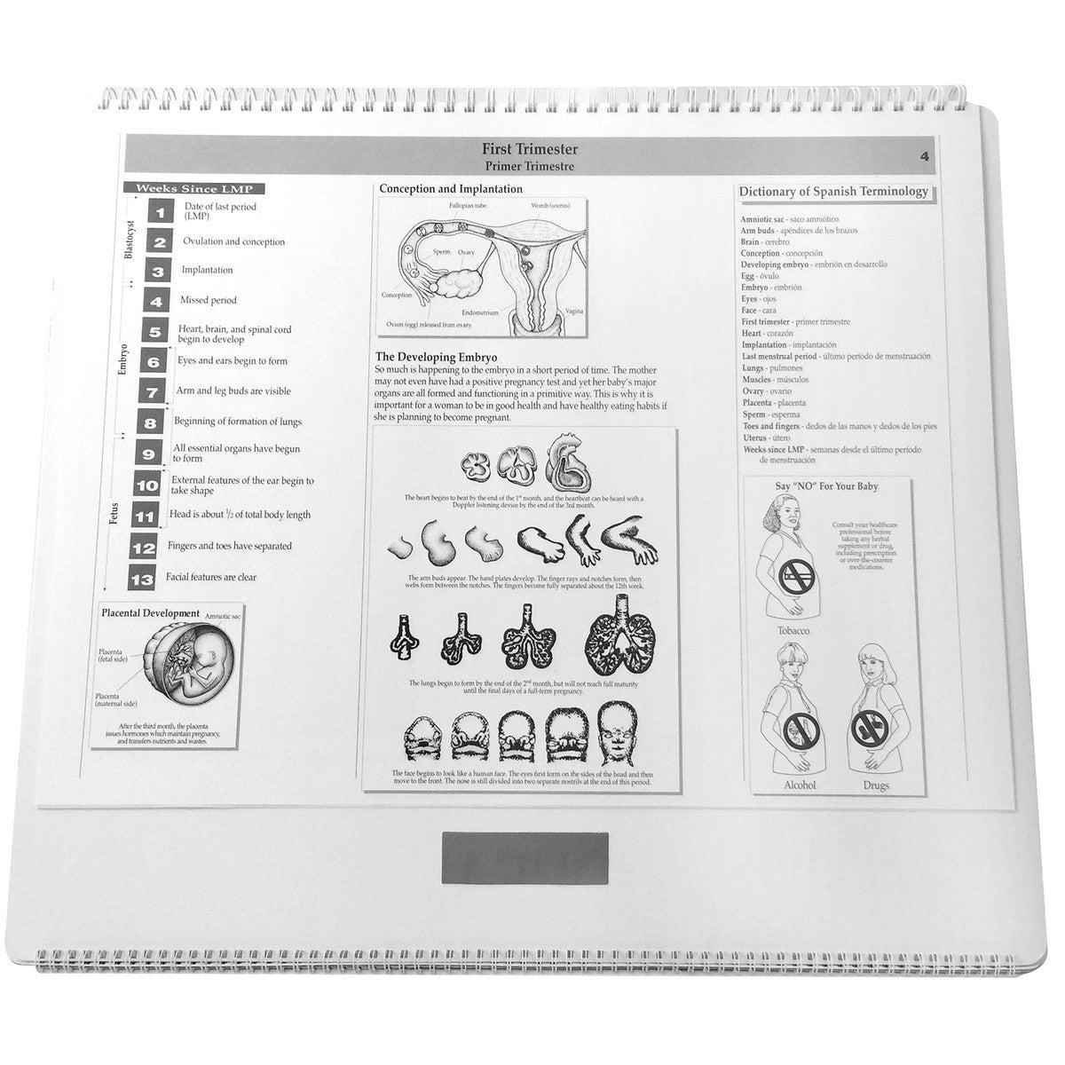 Childbearing: The Classic Series Large-Size Flip Chart