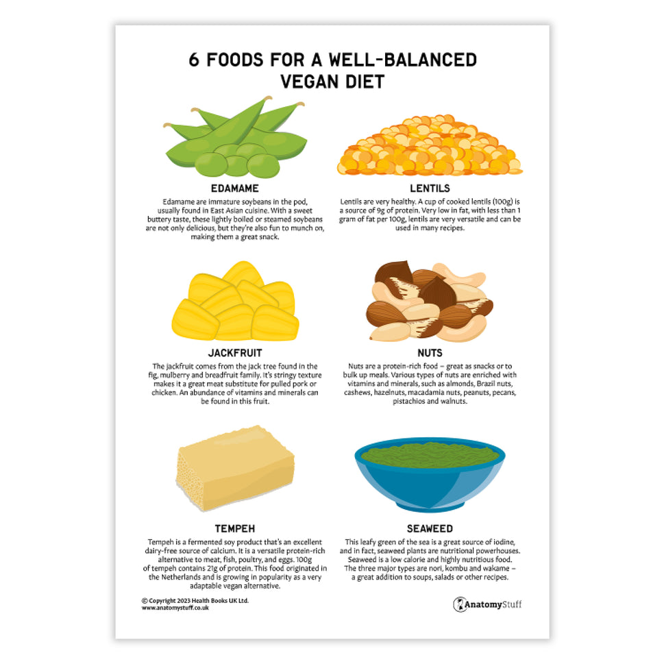 6 Foods for a Well-Balanced Vegan Diet (Printable PDF)