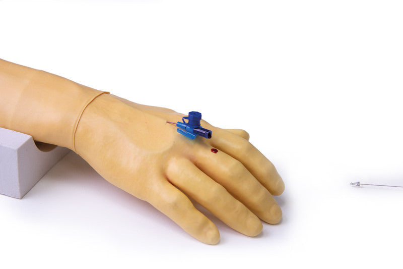 Intravenous Injection and Infusion Training Arm
