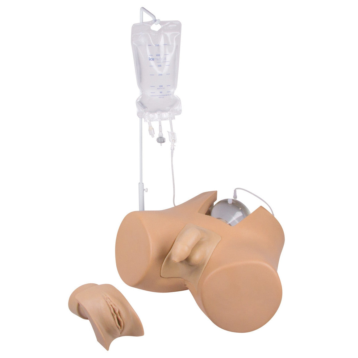 Male & Female Catheterisation Trainer Henri / Florence