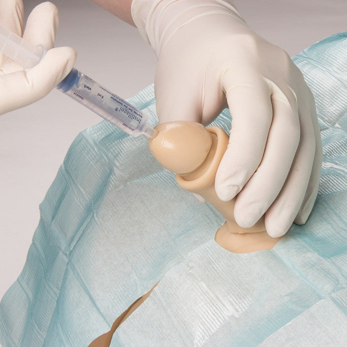 Male & Female Catheterisation Trainer Henri / Florence