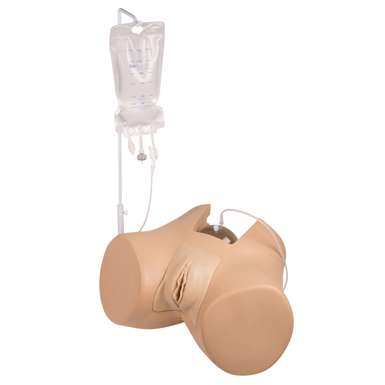Male & Female Catheterisation Trainer Henri / Florence