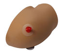Switch Amy Arm for Intraosseous Access Training 2 image