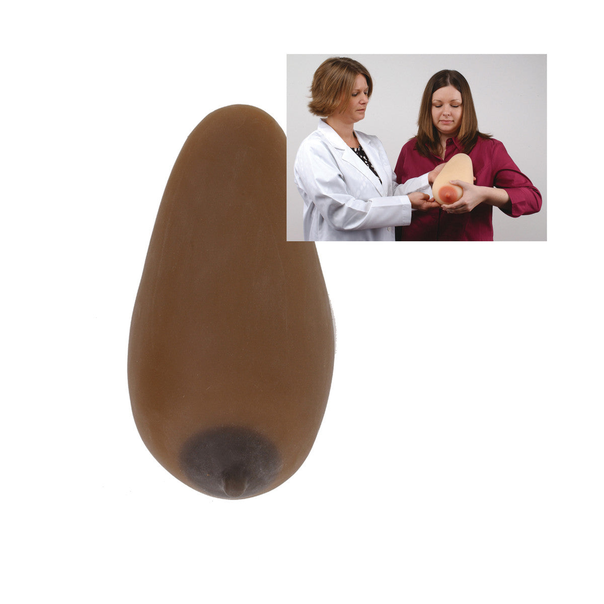 Breastfeeding Model